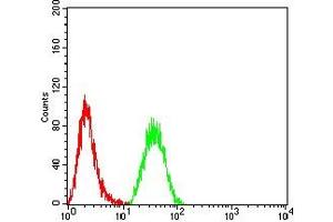 Flow cytometric analysis of Hela cells using NR2C2 mouse mAb (green) and negative control (red). (TR4 Antikörper  (AA 62-356))