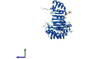 Protein Structure (PS) image for F-Box and Leucine-Rich Repeat Protein 3 (FBXL3) (AA 1-428) protein (His tag) (ABIN7559140)