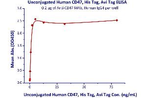 Immobilized Anti-CD47 MAb, Human IgG4 at 2μg/mL (100 μL/well) can bind Unconjugated Human CD47, His Tag, Avi Tag  with a linear range of 0.