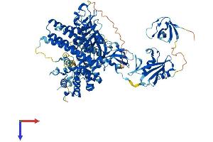 VAV1 Protein (AA 1-845) (His tag)