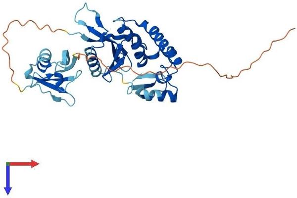 YOD1 Protein (AA 1-348) (His tag)