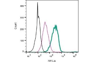 Cell surface detection of CLEC7A/Dectin-1 by direct flow cytometry in live intact mouse  microglia cells: + Rabbit IgG Isotype Control-FITC (ABIN7582044).