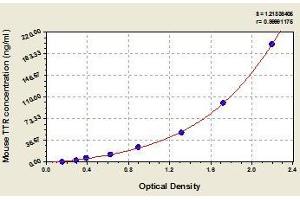 Typical standard curve (TTR ELISA Kit)