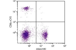 BALB/c mouse splenocytes were stained with Rat Anti-Mouse CD8α-CY5. (CD8 alpha Antikörper  (Cy5))