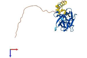 FGF16 Protein (AA 1-207) (His tag)