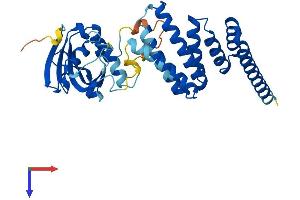 AIPL1 Protein (AA 1-328) (His tag)