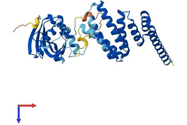 AIPL1 Protein (AA 1-328) (His tag)