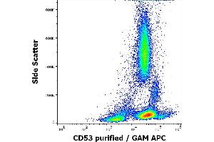Flow cytometry surface staining pattern of human peripheral blood stained using anti-human CD53 (MEM-53) purified antibody (concentration in sample 3 μg/mL, GAM APC). (CD53 Antikörper)