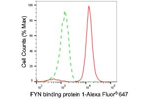 Flow cytometric analysis of FYN binding protein 1 expression in H9c2 cells using FYN binding protein 1 antibody (ABIN7798672), 1:2,000). (Rekombinanter FYB1 Antikörper)