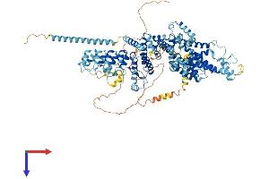 TRPC6 Protein (AA 1-931) (His tag)