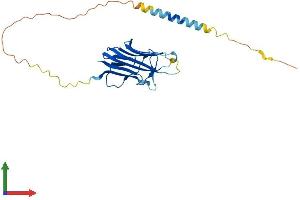 Protein Structure (PS) image for Tumor Necrosis Factor (Ligand) Superfamily, Member 12 (TNFSF12) (AA 1-249) protein (His tag) (ABIN7544425)