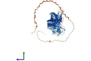 Protein Structure (PS) image for F-Box Protein 11 (FBXO11) (AA 1-930) protein (His tag) (ABIN7564199)