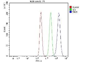 Flow Cytometry analysis of MCF-7 cells using anti-SH3PX1/SNX9 antibody (ABIN7600637). (SNX9 Antikörper  (AA 211-573))