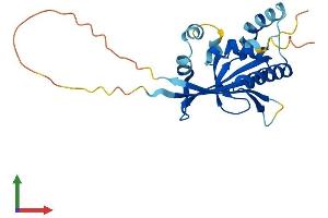 Protein Structure (PS) image for Autophagy Related 10 (ATG10) (AA 1-220) protein (His tag) (ABIN7552439)