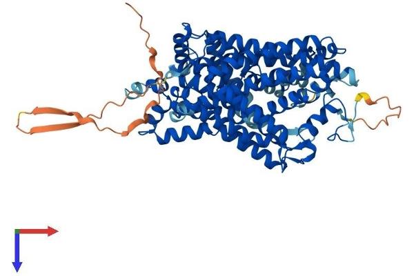 SLC6A3 Protein (AA 1-619) (His tag)