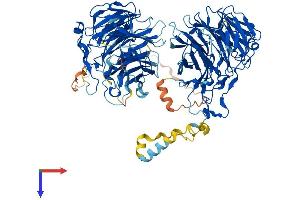 Coronin 7 Protein (CORO7) (AA 1-922) (His tag)
