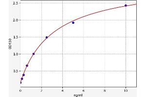 Typical standard curve (Cadherin 5 ELISA Kit)