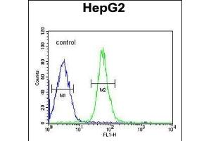 HMGA2 Antibody (C-term) (ABIN1981306 and ABIN2840297) flow cytometric analysis of HepG2 cells (right histogram) compared to a negative control cell (left histogram).