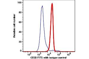 Flow Cytometry (FACS) image for anti-Fc gamma RII (CD32) antibody (FITC) (ABIN2704248) (Fc gamma RII (CD32) Antikörper (FITC))