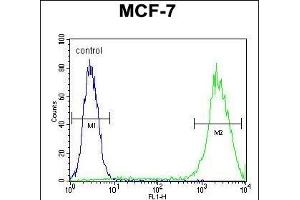 LGALS3 Antibody (C-term) (ABIN655879 and ABIN2845280) flow cytometric analysis of MCF-7 cells (right histogram) compared to a negative control cell (left histogram). (Galectin 3 Antikörper  (C-Term))