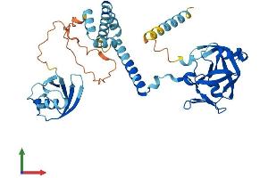 Protein Structure (PS) image for DNA-Damage Inducible 1 Homolog 2 (DDI2) (AA 1-399) protein (His tag) (ABIN7547082)