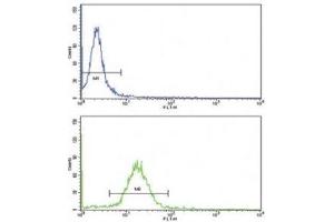 Flow Cytometry (FACS) image for anti-Wingless-Type MMTV Integration Site Family, Member 10B (WNT10B) (AA 193-222) antibody (ABIN3029625)