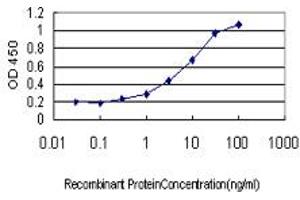 Detection limit for recombinant GST tagged TFRC is approximately 0. (Transferrin Receptor Antikörper  (AA 68-168))