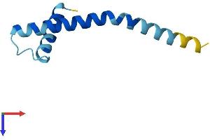 Serine Palmitoyltransferase, Small Subunit B (SPTSSB) (AA 1-76) protein (Fc Tag)