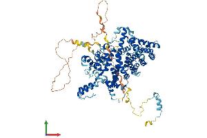 AlphaFold protein structure predicition of Mouse Recombinant Strip1 Protein, UniprotID Q8C079