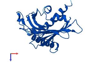 STARD5 Protein (AA 1-213) (His tag)