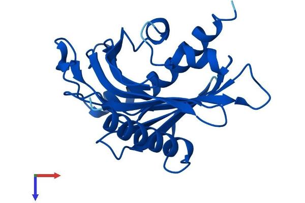 STARD5 Protein (AA 1-213) (His tag)