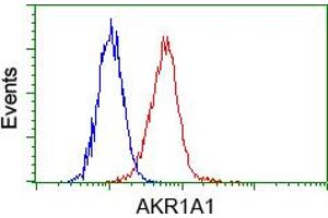 Image no. 5 for anti-Aldo-Keto Reductase Family 1, Member A1 (Aldehyde Reductase) (AKR1A1) antibody (ABIN1496544) (AKR1A1 Antikörper)