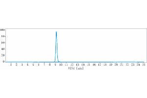 anti-PDCD1 (Retifanlimab Biosimilar) antibody