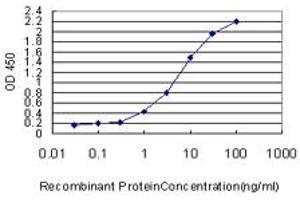 Detection limit for recombinant GST tagged PRKG1 is approximately 0. (PRKG1 Antikörper  (AA 73-170))