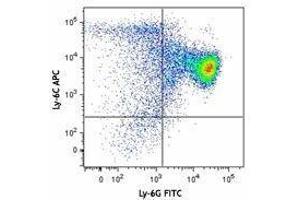 Flow Cytometry (FACS) image for Mouse MDSC Flow Cocktail 2 (ABIN2669223)