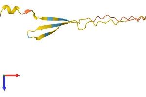 Endogenous Retrovirus Group K, Member 24 (ERVK-24) (AA 1-75) protein (Fc Tag)