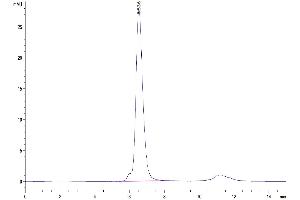 Size-exclusion chromatography-High Pressure Liquid Chromatography (SEC-HPLC) image for Killer Cell Lectin-Like Receptor Subfamily C, Member 1 (KLRC1) (AA 100-219) protein (Fc Tag) (ABIN7275335)