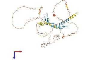 SP5 Protein (AA 1-398) (His tag)