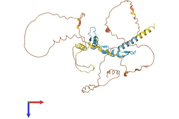 SP5 Protein (AA 1-398) (His tag)