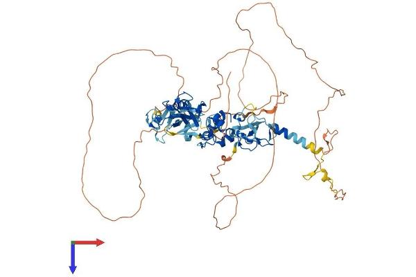 ABLIM3 Protein (AA 1-683) (His tag)