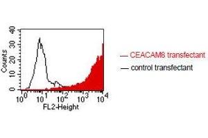 FACS analysis of BOSC23 cells using GM2H6. (CEACAM8 Antikörper)