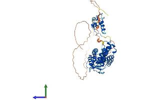 Protein Structure (PS) image for Retinoic Acid Receptor, gamma (RARG) (AA 1-454) protein (His tag) (ABIN7551286)