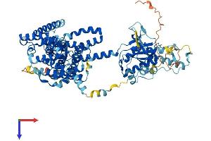 SLC26A3 Protein (AA 1-764) (His tag)