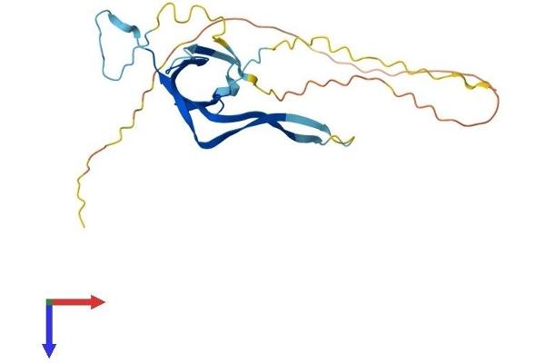 GTF3C6 Protein (AA 1-227) (His tag)