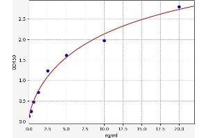 Isocitrate Dehydrogenase ELISA Kit