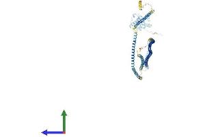 Protein Structure (PS) image for Hook Homolog 1 (HOOK1) (AA 1-728) protein (His tag) (ABIN7554107)
