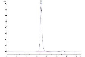 The purity of Human FGFR3 beta (IIIc) is greater than 95 % as determined by SEC-HPLC.
