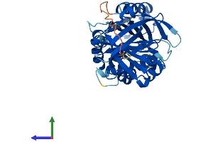 Protein Structure (PS) image for serpin Peptidase Inhibitor, Clade B (Ovalbumin), Member 8 (SERPINB8) (AA 1-374) protein (His tag) (ABIN7546158)