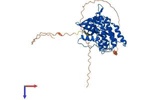 Casein Kinase 1 gamma 2 Protein (AA 1-415) (His tag)