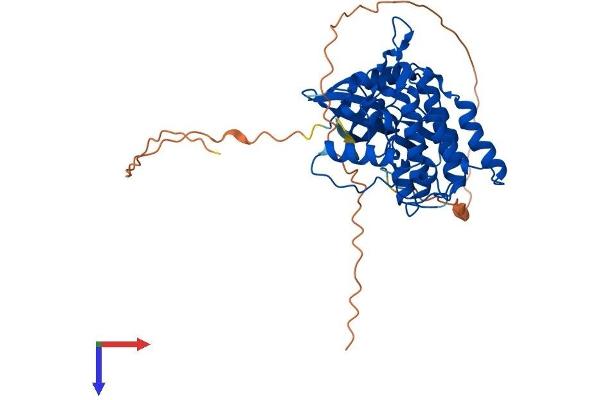 Casein Kinase 1 gamma 2 Protein (AA 1-415) (His tag)